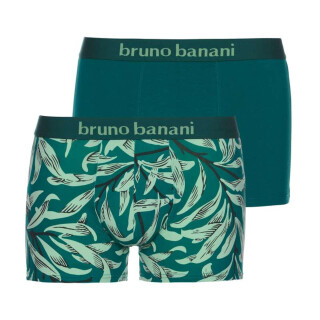 2er-Pack Bruno Banani Leaf 4304 hellgrün print // dunkelgrün S